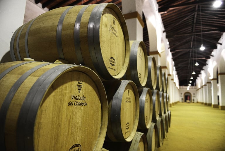 Wooden wine barrels stacked in rows inside a winery cellar with metal bands and labels, illuminated by overhead lights