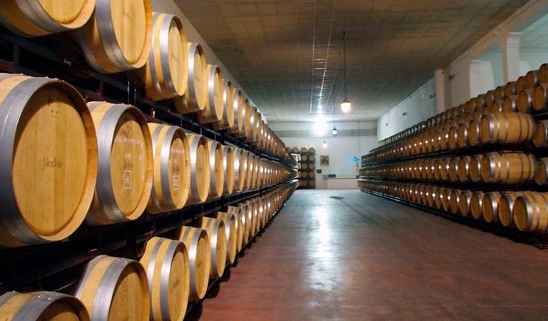 Wooden barrels stacked on shelves in a wine cellar, lined along both sides of a corridor with industrial lighting